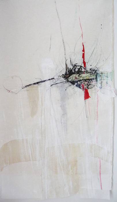 Moth-25x43-1