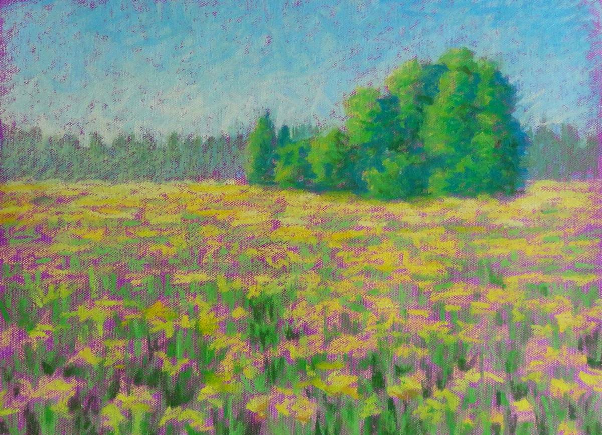 Field-of-Flowers-BMFineart.com_