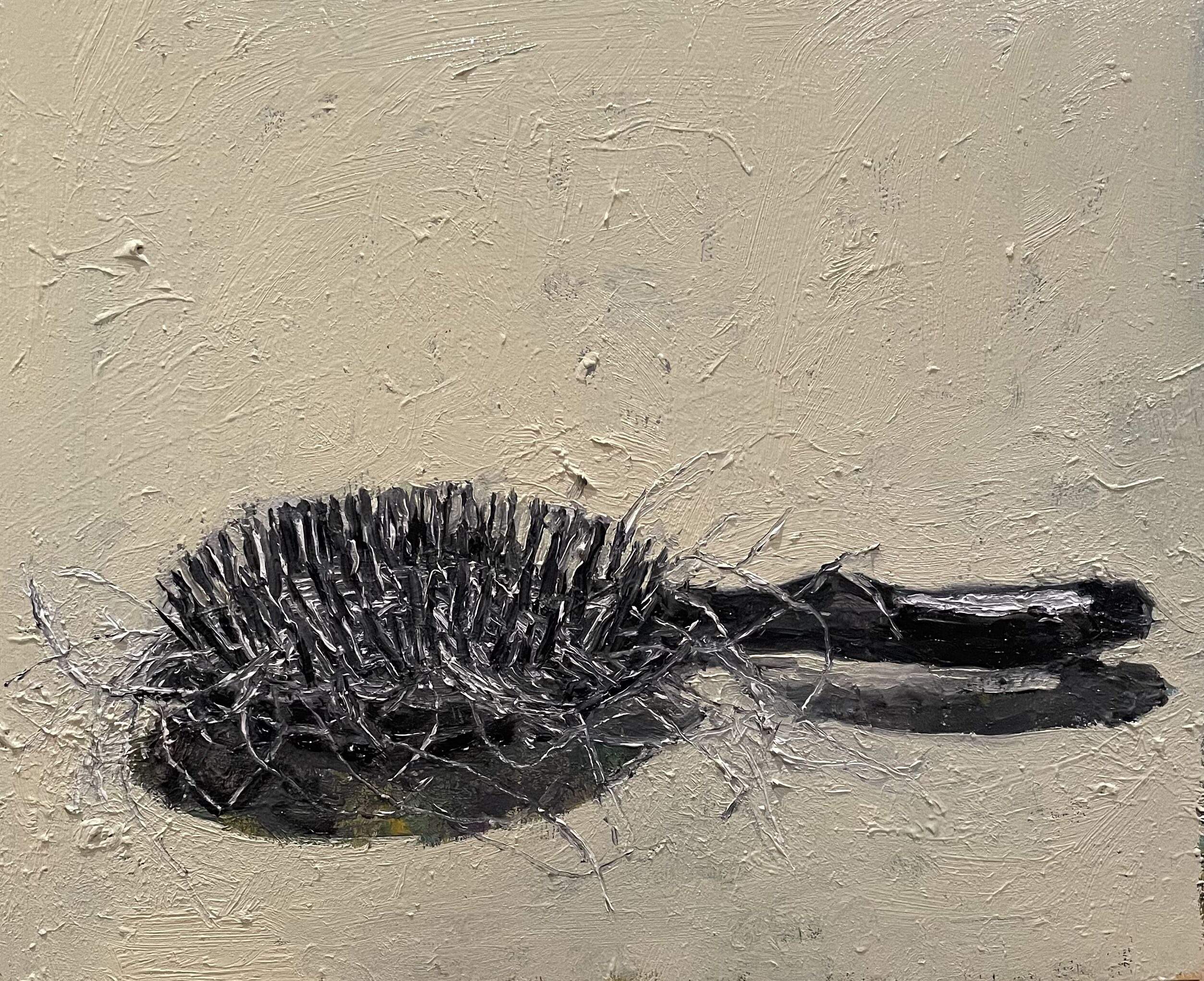 04cvf2022Hairbrush