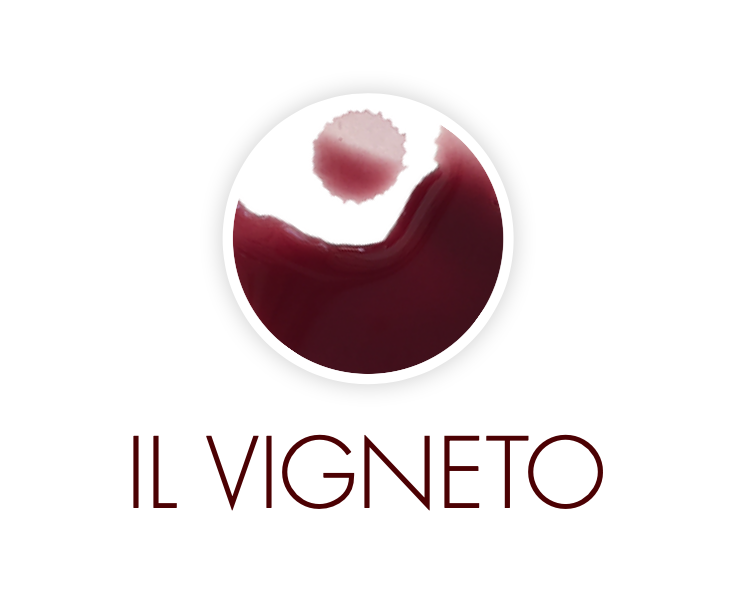 il Vigneto